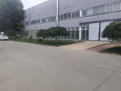 推推99 塑造房地產(chǎn)精英的理想平臺(tái)