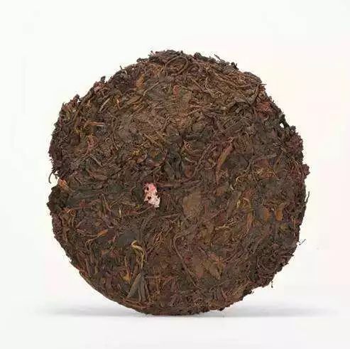 還未開發(fā)的金山 普洱老茶