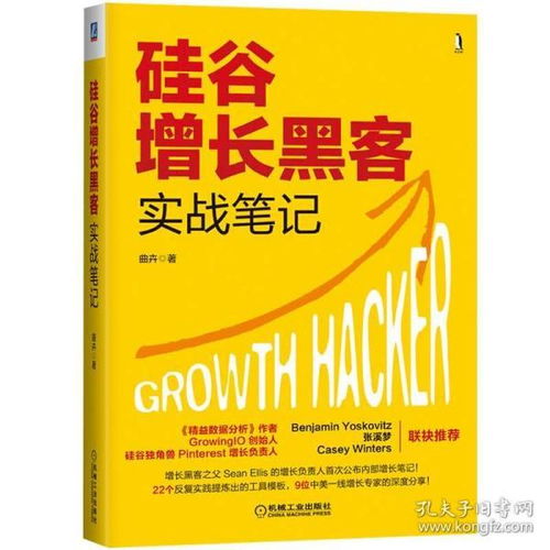 《硅谷增長黑客實(shí)戰(zhàn)筆記》 互聯(lián)網(wǎng)時代的增長智慧與實(shí)戰(zhàn)指南